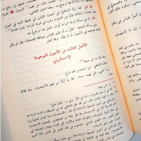 المستصفى من علم الاصول2/1