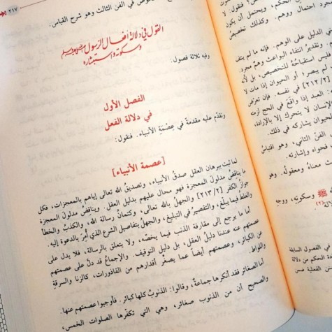 المستصفى من علم الاصول2/1