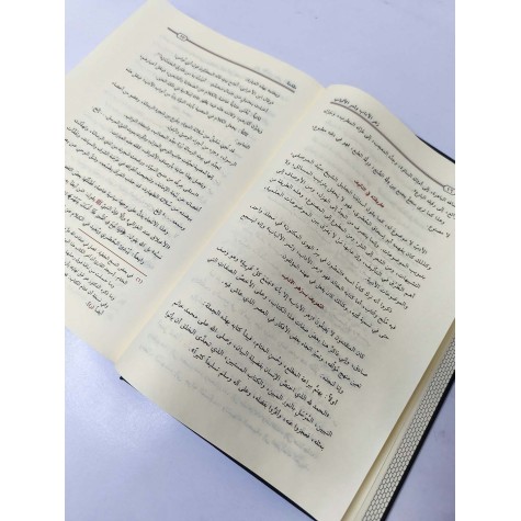 زهر الآداب وثمر الألباب