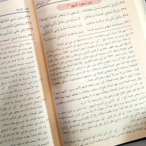 هبة الرحمن في شرح زبد ابن رسلان
