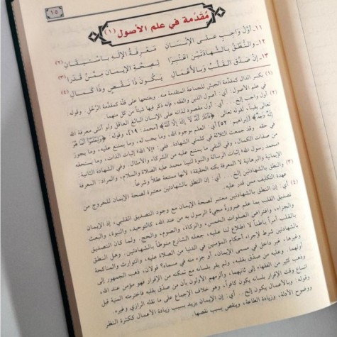 هبة الرحمن في شرح زبد ابن رسلان