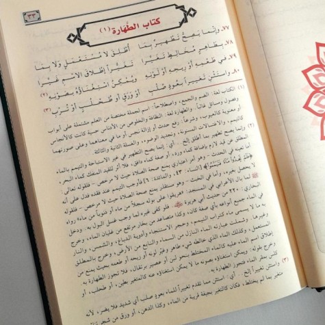 هبة الرحمن في شرح زبد ابن رسلان