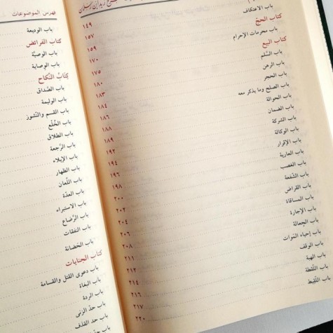 هبة الرحمن في شرح زبد ابن رسلان