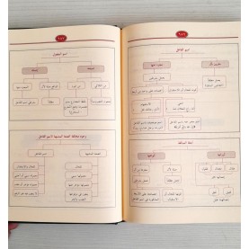 شرح شذور الذهب في معرفة كلام العرب