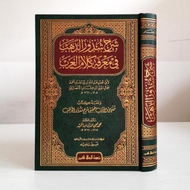 شرح شذور الذهب في معرفة كلام العرب