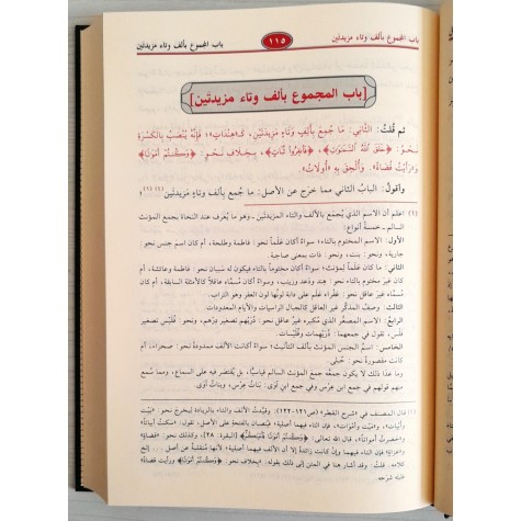 شرح شذور الذهب في معرفة كلام العرب