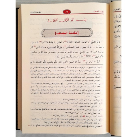 شرح شذور الذهب في معرفة كلام العرب